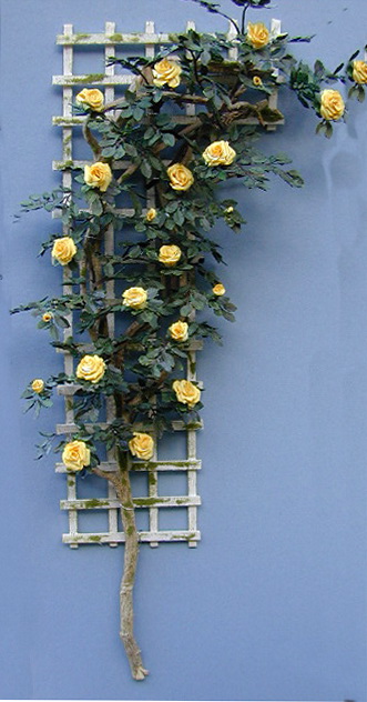 Rose Trellis